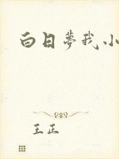 白日梦我小说