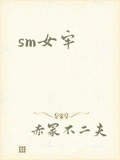 sm女牢