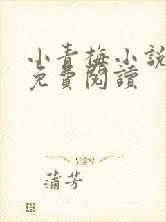 小青梅小说全文免费阅读