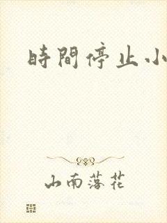 时间停止小说