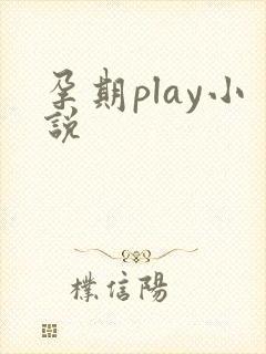 孕期play小说