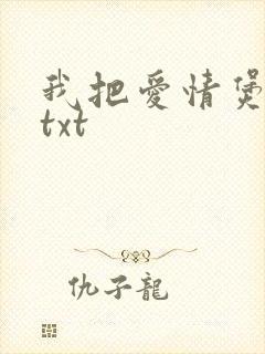 我把爱情煲成汤txt