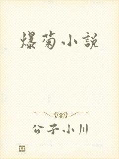 爆菊小说