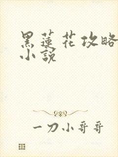 黑莲花攻略手册小说