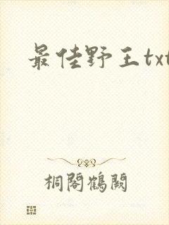 最佳野王txt
