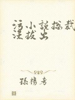 污小说总裁整夜没拔出