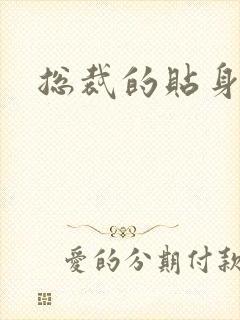 总裁的贴身女佣