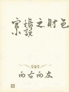 官场之财色诱人小说