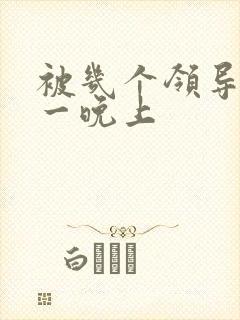 被几个领导玩弄一晚上