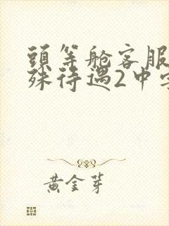 头等舱客服的特殊待遇2中字