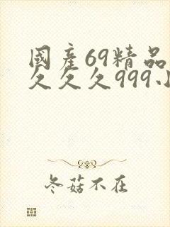 国产69精品久久久久999小说