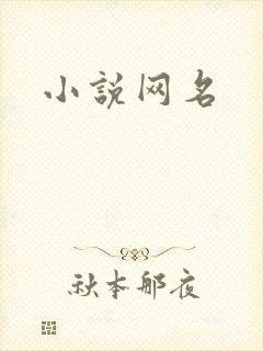 小说网名