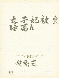 太子妃被皇上强睡高h