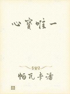 心宝唯一