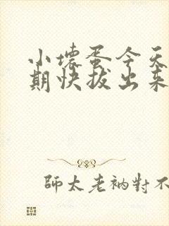 小坏蛋今天危险期快拔出来