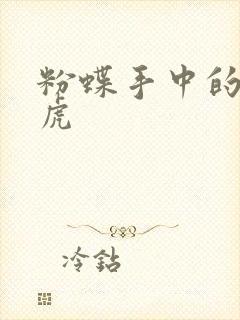 粉蝶手中的纸老虎