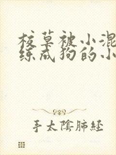 校草被小混混训练成狗的小说