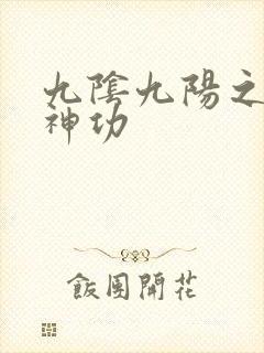 九阴九阳之阴阳神功