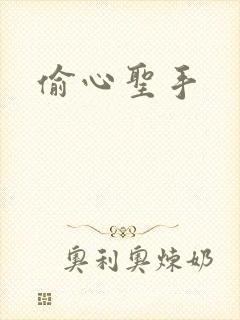 偷心圣手
