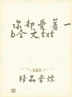 你却爱着一个sb全文txt