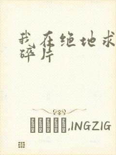 我在绝地求生捡碎片