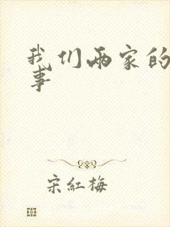 我们两家的荒唐事