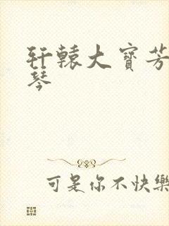 轩辕大宝芳菲雅琴