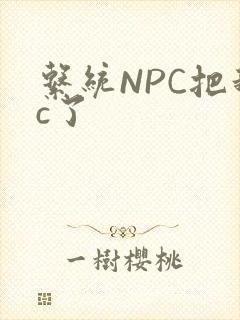 系统NPC把我c了