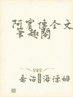 阿宾传全文阅读 笔趣阁