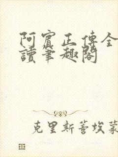 阿宾正传全文阅读笔趣阁