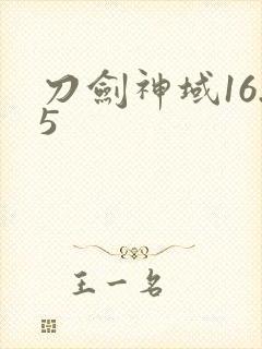刀剑神域16.5