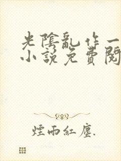 光阴乱作一团的小说免费阅读