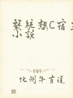 系统想C宿主的小说