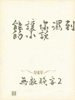 能让你湿到不行的小说