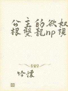 公主的欲奴h四根双龙np视频