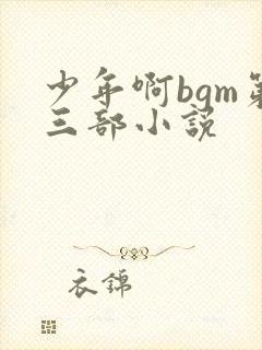 少年啊bgm第三部小说