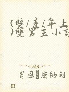 (双/产/年上)双男主小说