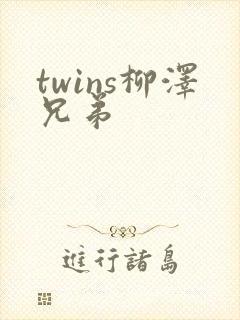 twins柳泽兄弟