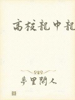 高校龙中龙