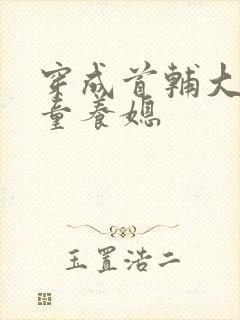 穿成首辅大人的童养媳