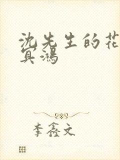 沈先生的花式调冥鸿