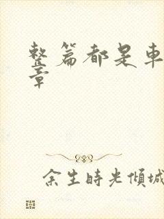 整篇都是车的文章