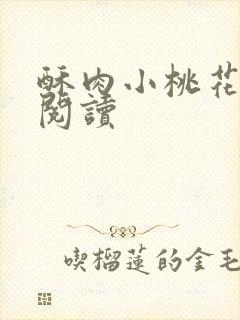 酥肉小桃花全文阅读