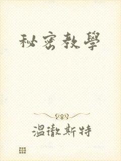 秘密教学