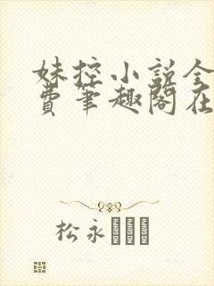 妹控小说全文免费笔趣阁在线阅读