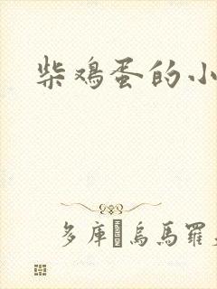 柴鸡蛋的小说