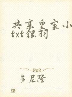 共享皇家小公主txt银羽