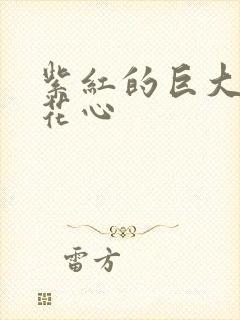 紫红的巨大顶开花心