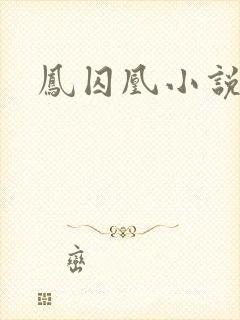 凤囚凰小说