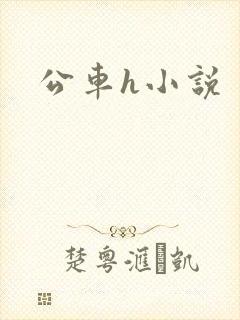公车h小说